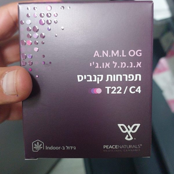 אנימל פייס (Animal Face)