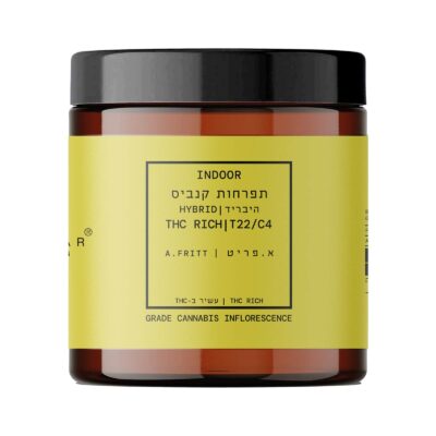 אפל פריטר (Apple Fritter)