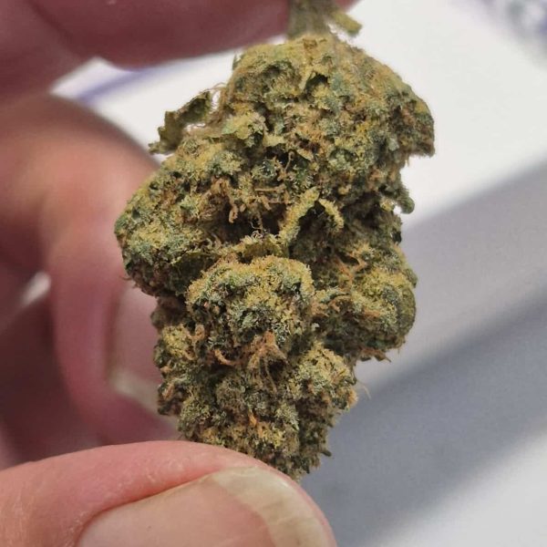 אובמה ראנטז (Obama Runtz)