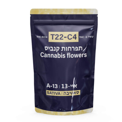 אורנג' פאי (Orange Pie)