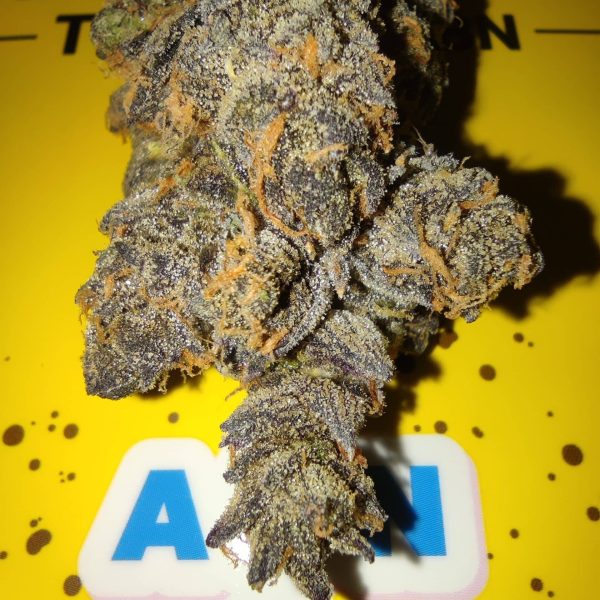 אפלז אנד בננז (Apples And Bananas)