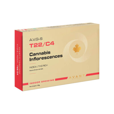 אייוי גז (AV Gas)