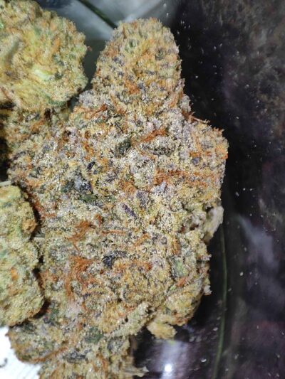 אייוי גז (AV Gas)