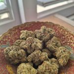 היי סוסייטי (High Society)