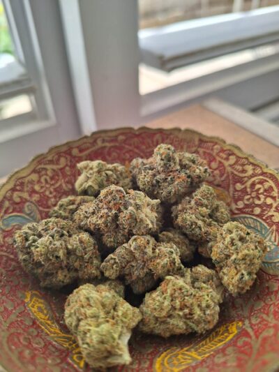 היי סוסייטי (High Society)