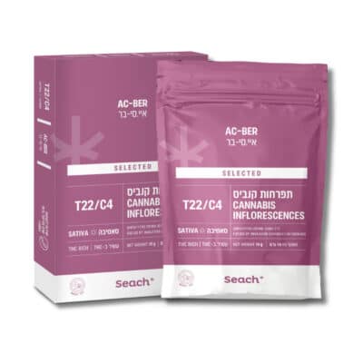 אסאי ג'לאטו (Acai Gelato)