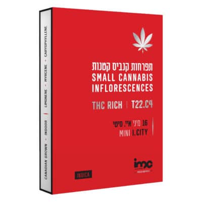 היי סוסייטי (High Society)