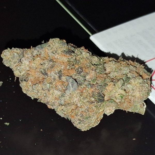 פאלקון 9 (Falcon 9)