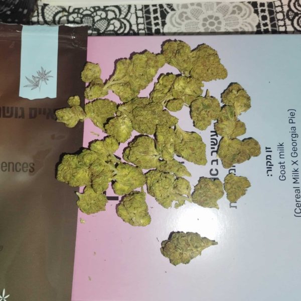 אייס גושרס (Ice Gushers)