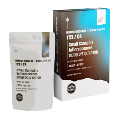 אייס גושרס (Ice Gushers)