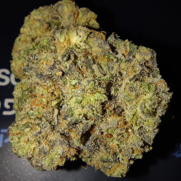 לייזר פיול (Lazer Fuel)