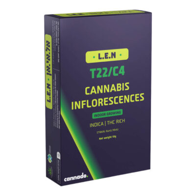 ראנטז מינטז (​​Runtz Mintz)