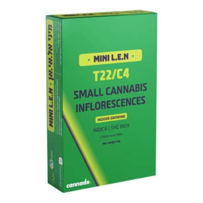 ראנטז מינטז (​​Runtz Mintz)