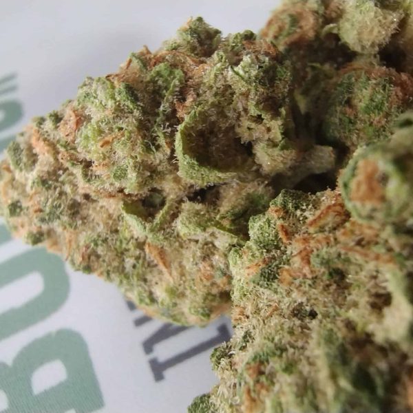 פיור פייר (Pure Fire)