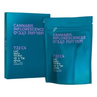 לבנדר (Lavender)