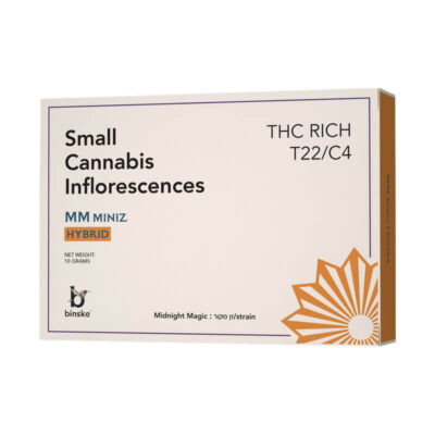 מידנייט מג'יק (Midnight Magic)