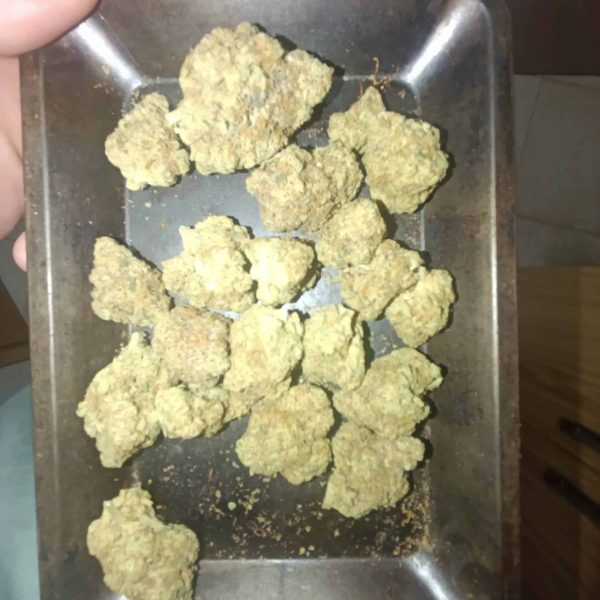 מורנינג סאן (Morning Sun)