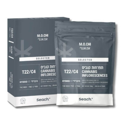 מוצ'י ג'לאטו (Mochi Gelato)