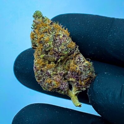 פיור פייר (Pure Fire)