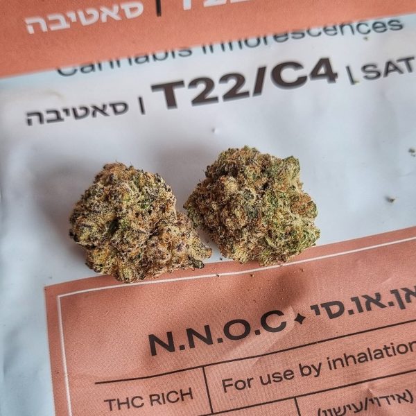 גארי פייטון (Gary Payton)