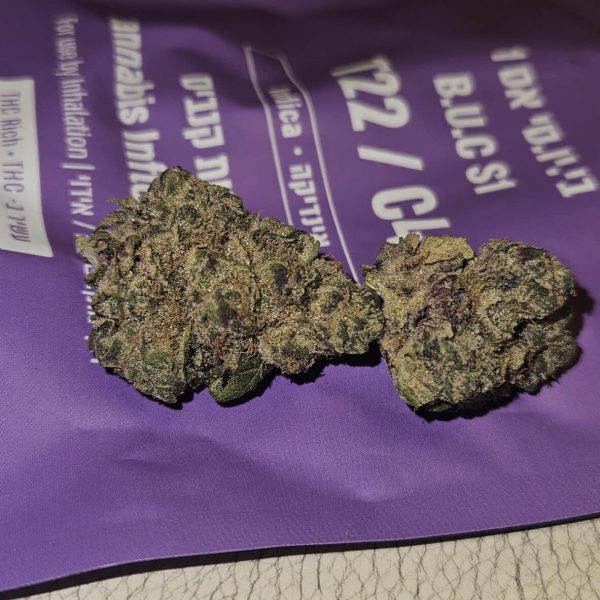 גז פרוט (Gas Fruit)