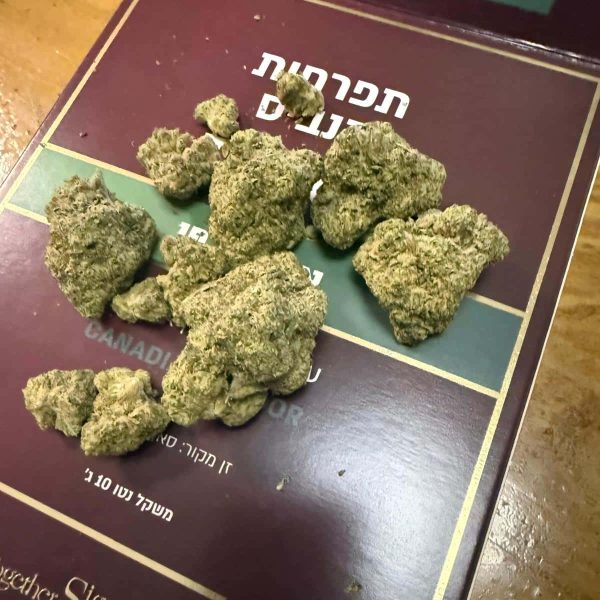 סאן אוף אה פיץ' (Sun of a Peach)