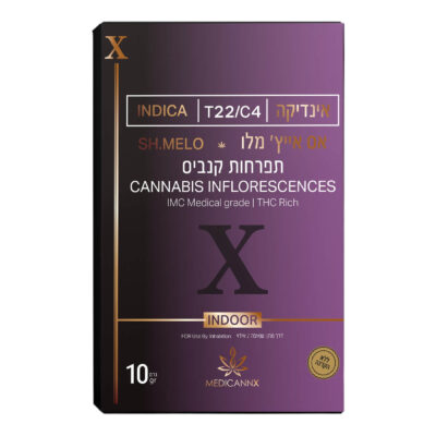 מוקום טוליפ (Mokum's Tulip)