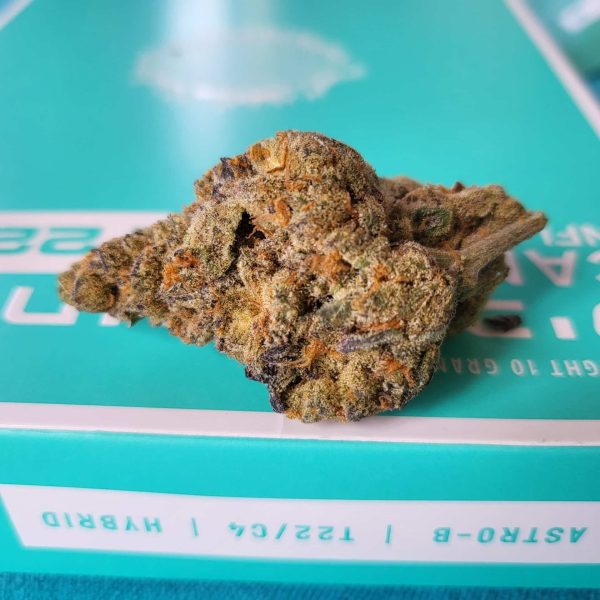 קריביאן בריז (Caribbean Breeze)