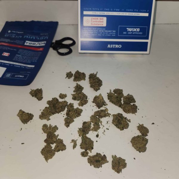 בלו פאבה (Blue Pave)