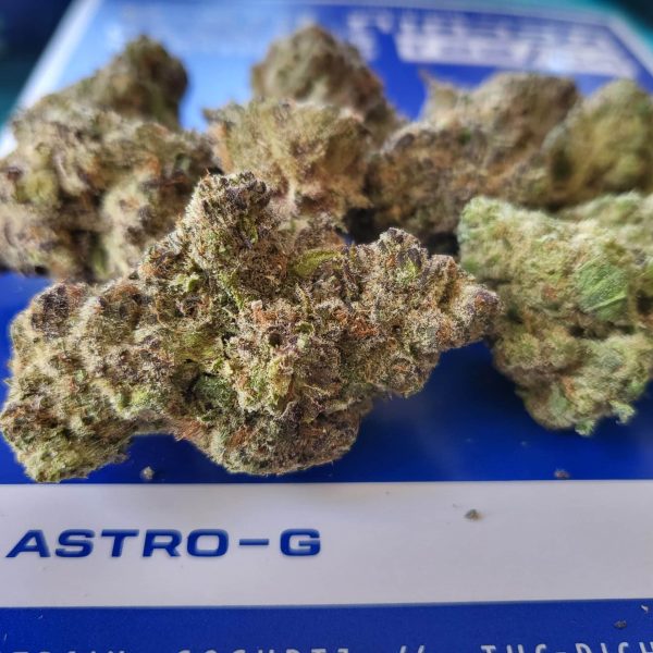 גוגרץ (Gogurtz)