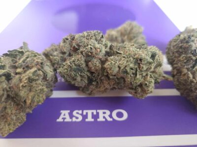 גז פייס (Gas Face)