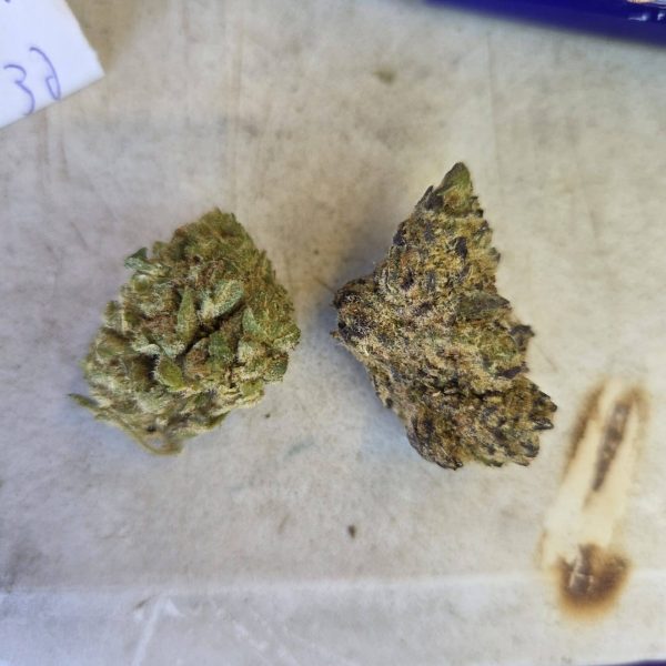 גוגרץ (Gogurtz)