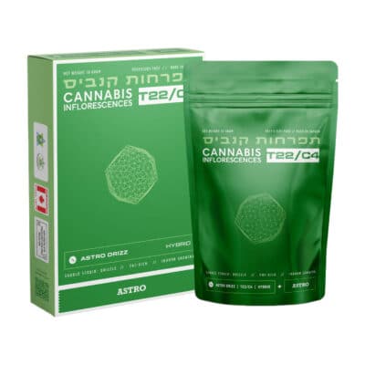 דריזל (Drizzle)