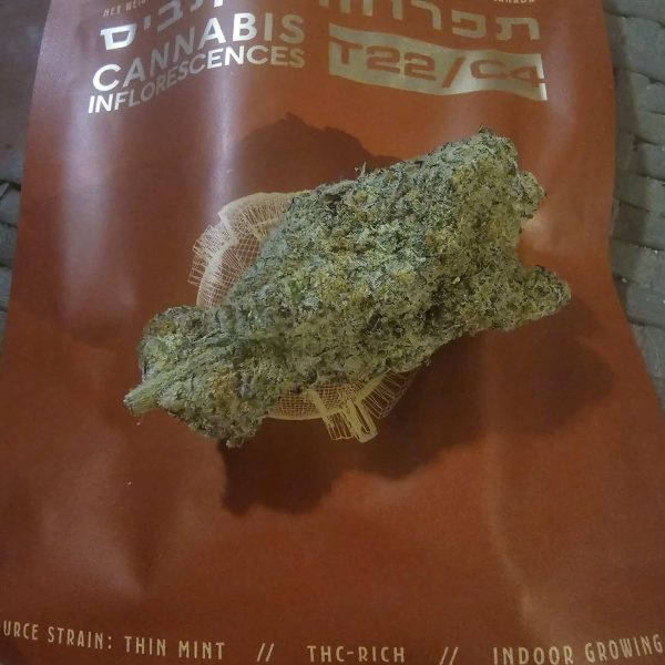 ת'ין מינט גירל סקאוט קוקיז (Thin Mint Girl Scout Cookies)