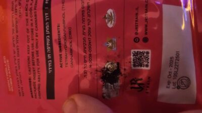 גסטרו פופ (Gastro Pop)