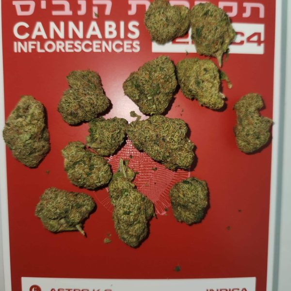 קייק קראשר (Cake Crasher)