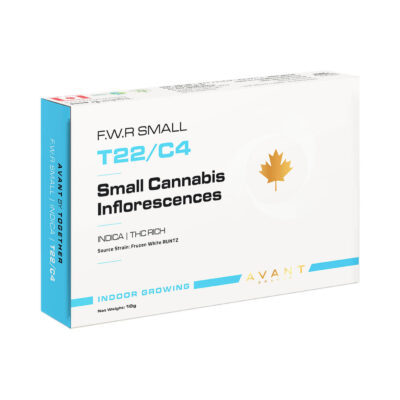 פרוזן ווייט ראנטז (Frozen White Runtz)