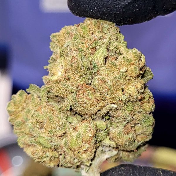 באבא קוש (Bubba Kush)