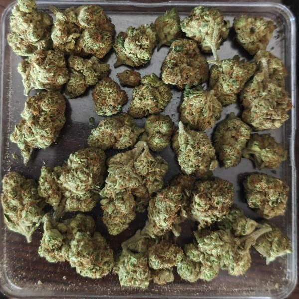 כמדוג (Chemdawg)