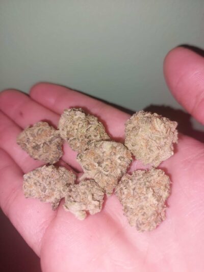 בירת'דיי קייק (Birthday Cake)