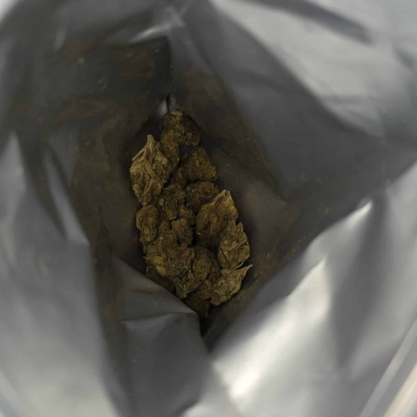 ריינבו צ'יפ (Rainbow Chip)