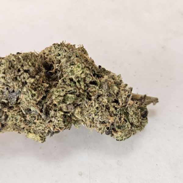 בוטיקלאפר (Bootyclapper)