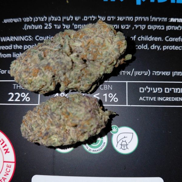 ריינבו פרוטס (Rainbow Fruits)