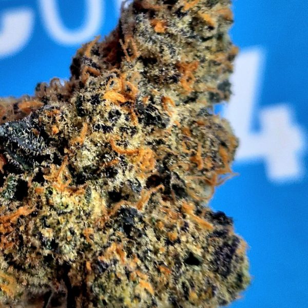 טום בריידי (Tom Brady)