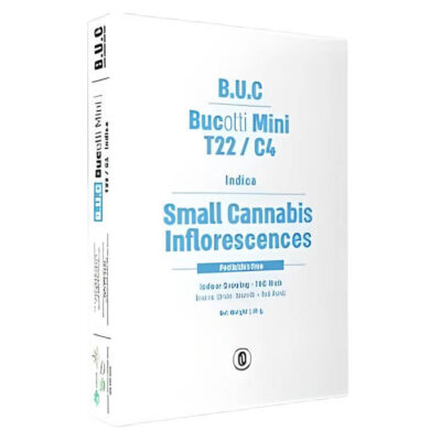 טום בריידי (Tom Brady)