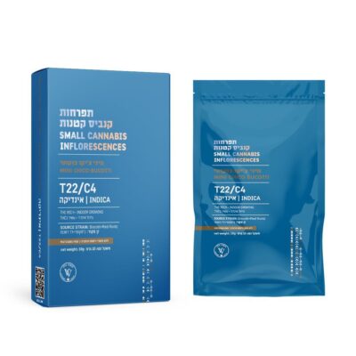 טום בריידי (Tom Brady)