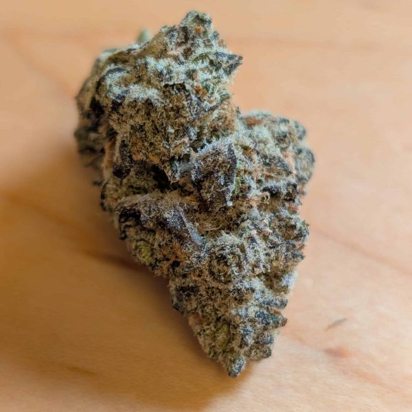 בלאקאאוט בובי (Blackout Bobby)