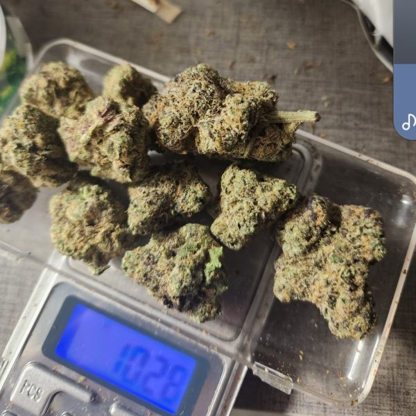 בלאק מינט (Black Mint)