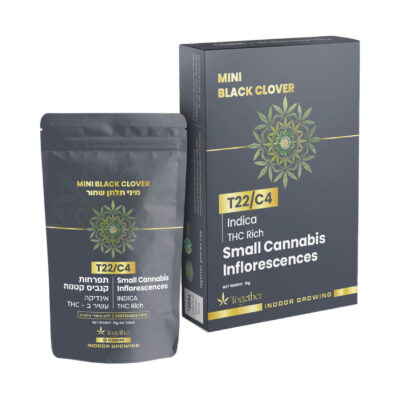 בלאק מינט (Black Mint)