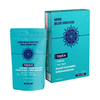 אפגן סקאנק (Afghan Skunk)